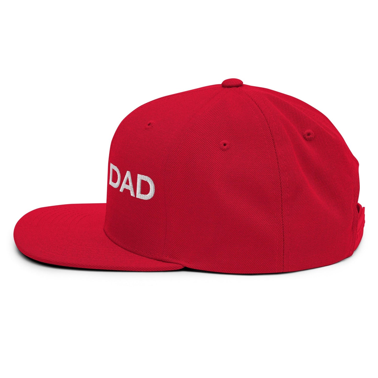 DAD Snapback - Soberlands