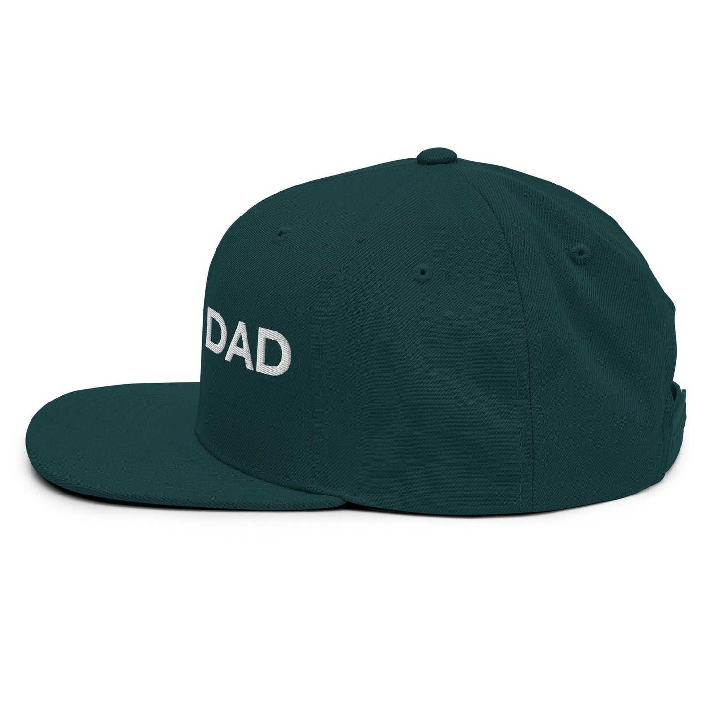 DAD Snapback - Soberlands