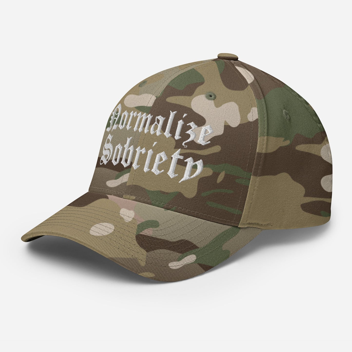 Normalize Sobriety Fitted Cap - Soberlands