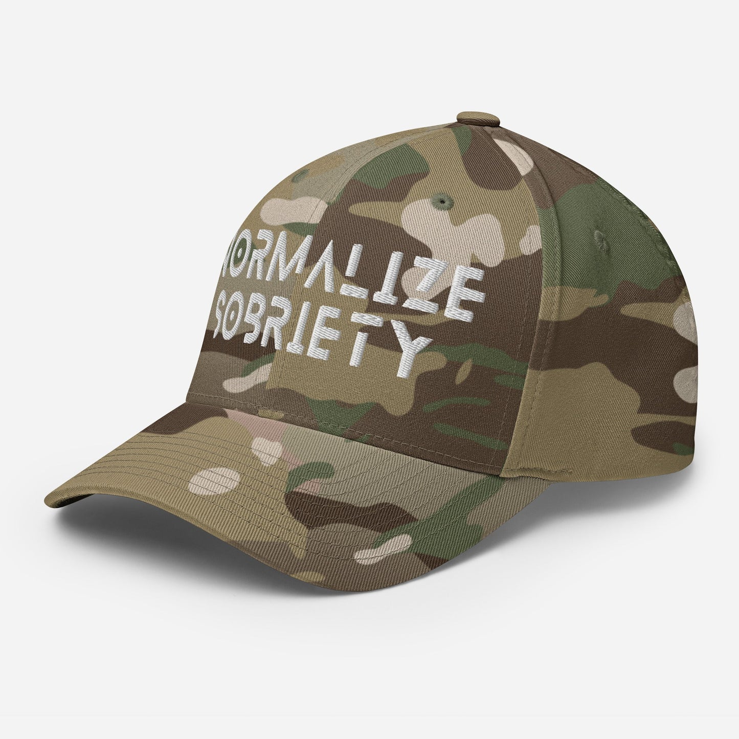 Normalize Sobriety Fitted Cap - Soberlands