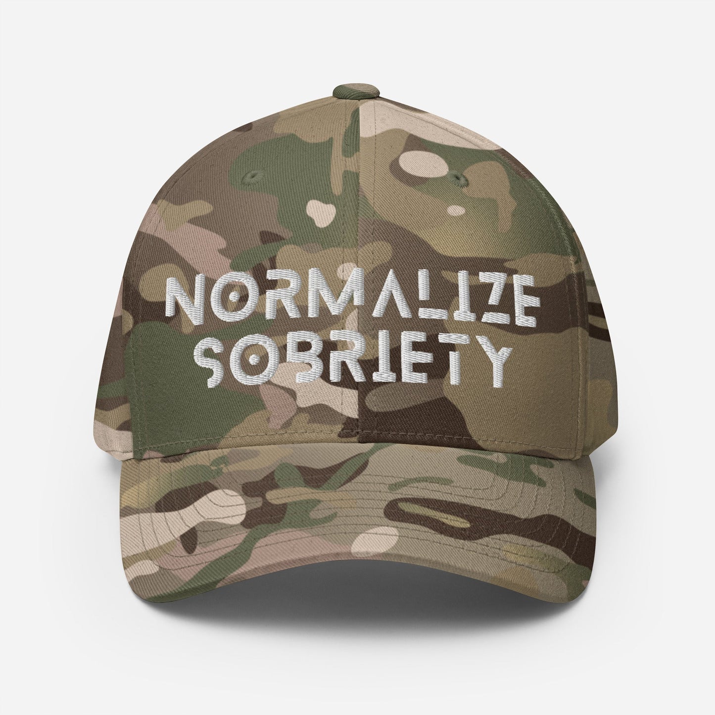Normalize Sobriety Fitted Cap - Soberlands
