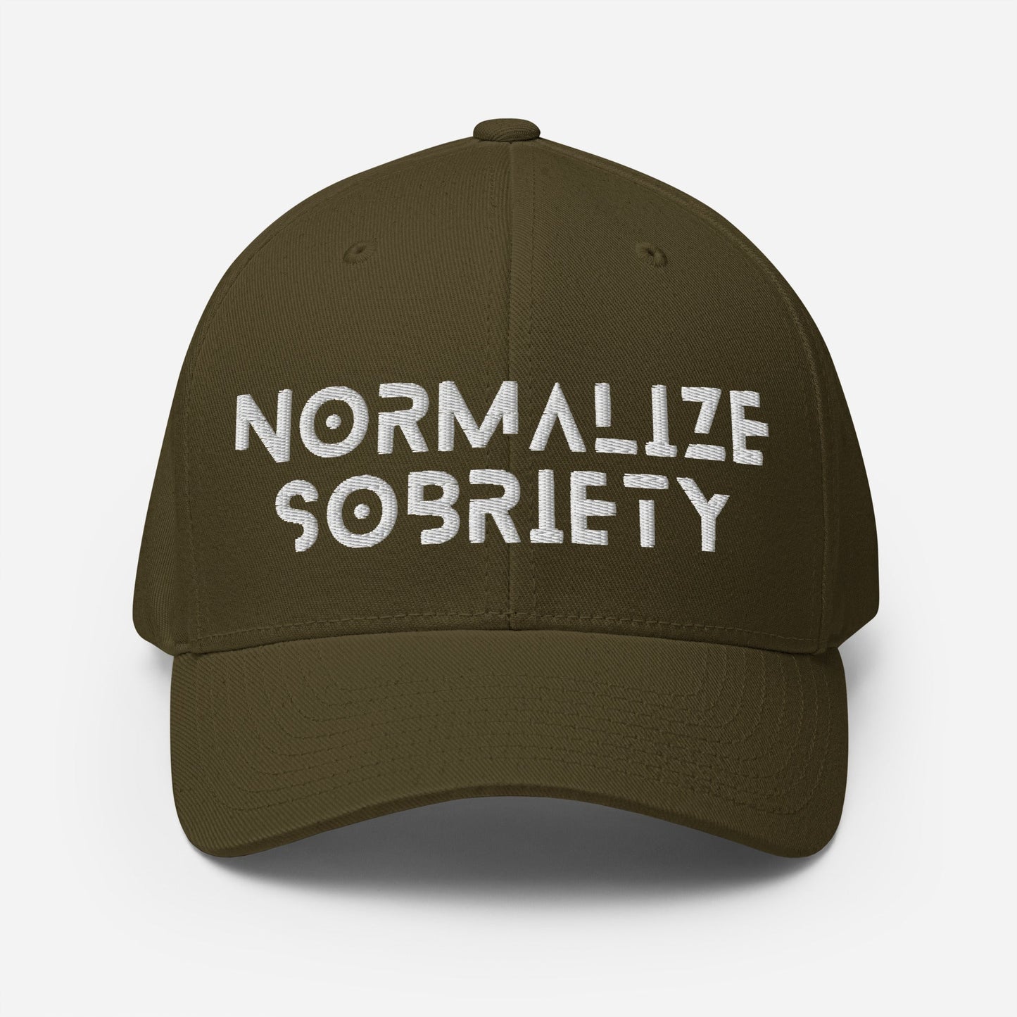 Normalize Sobriety Fitted Cap - Soberlands