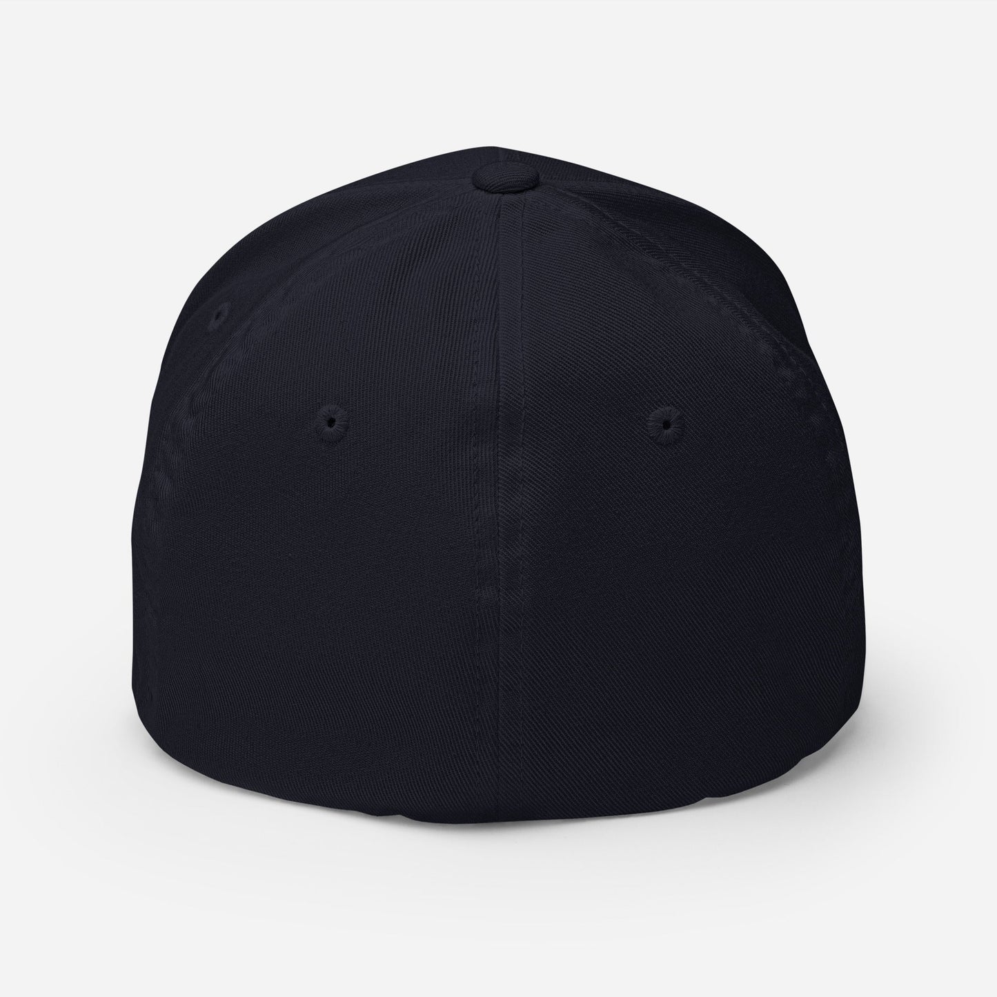 Normalize Sobriety Fitted Cap - Soberlands