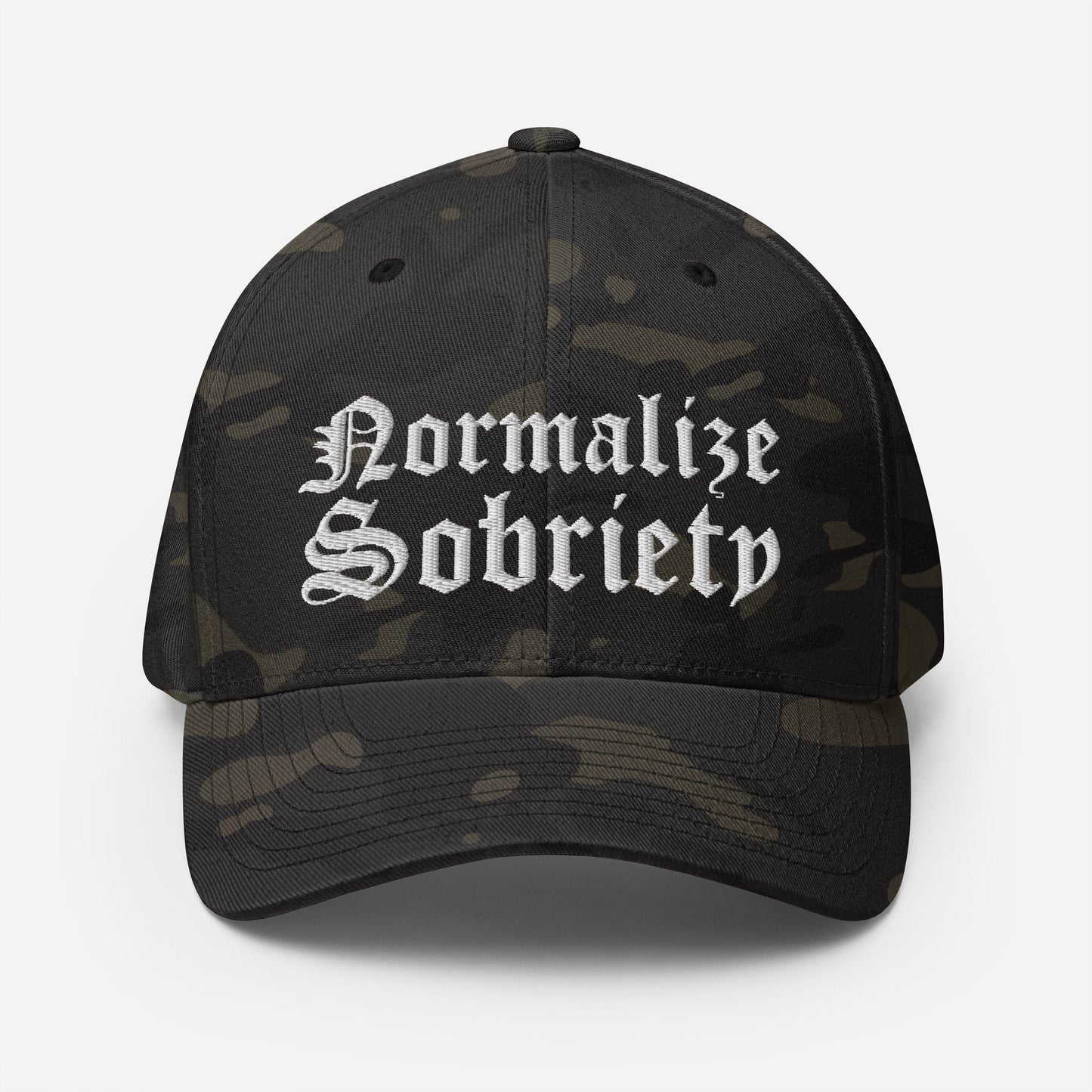 Normalize Sobriety Fitted Cap - Soberlands