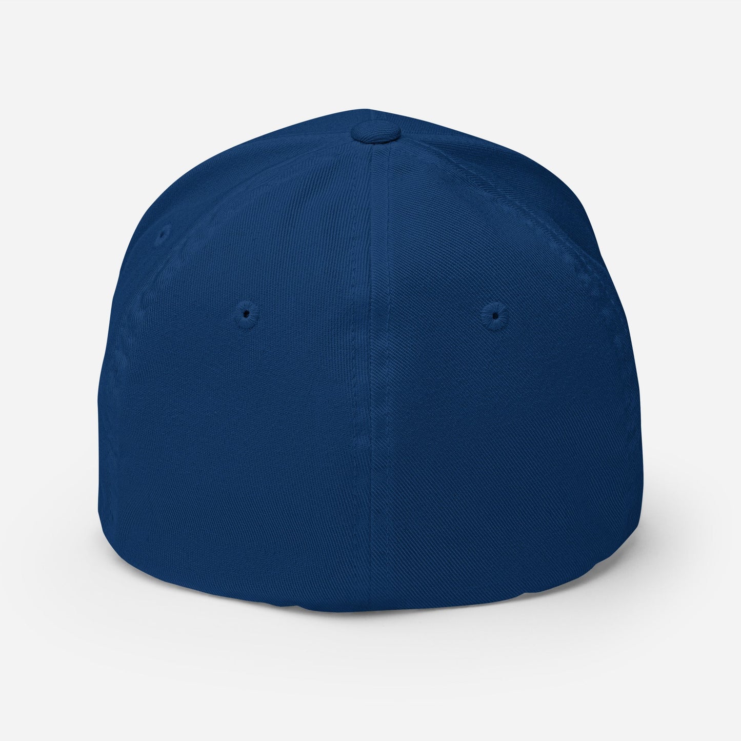 Normalize Sobriety Fitted Cap - Soberlands