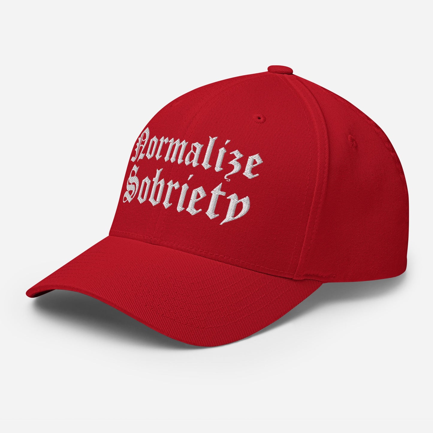 Normalize Sobriety Fitted Cap - Soberlands
