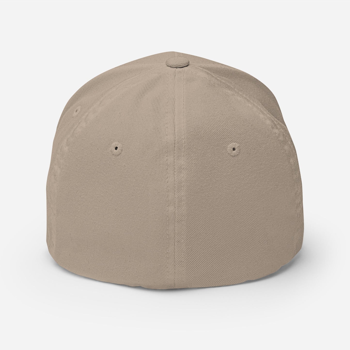 Normalize Sobriety Fitted Cap - Soberlands