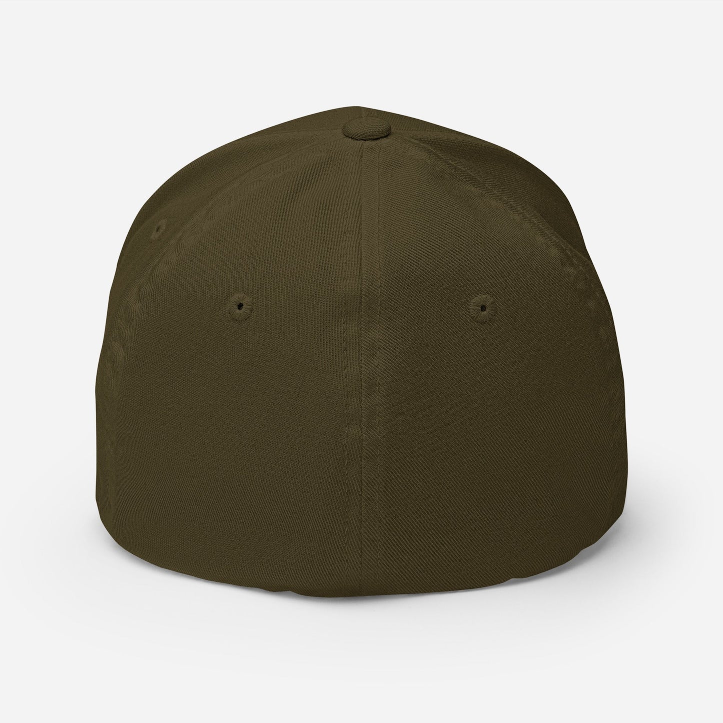 Normalize Sobriety Fitted Cap - Soberlands