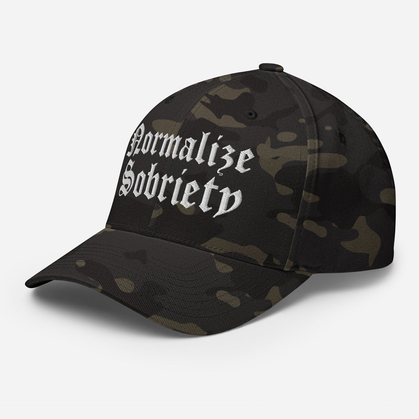 Normalize Sobriety Fitted Cap - Soberlands