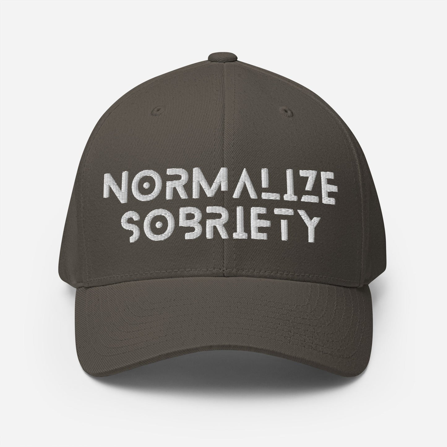 Normalize Sobriety Fitted Cap - Soberlands