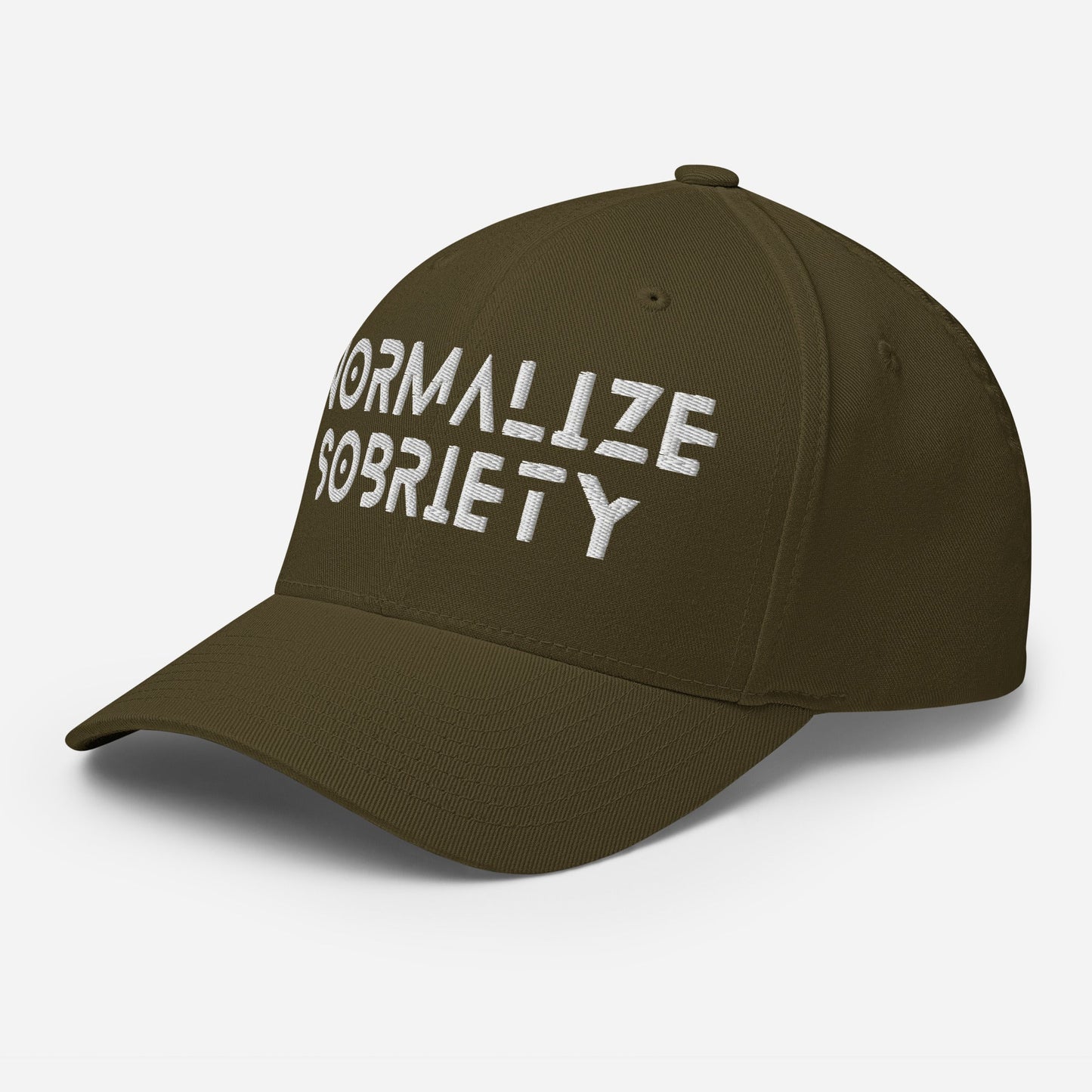 Normalize Sobriety Fitted Cap - Soberlands