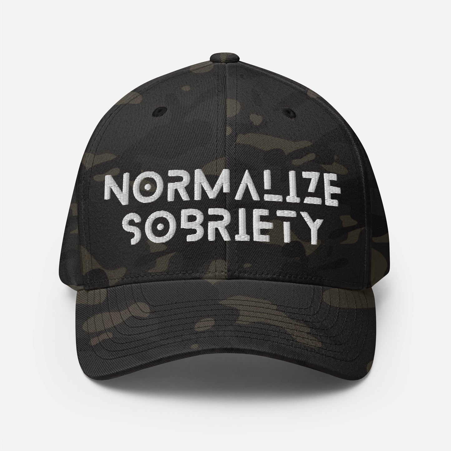 Normalize Sobriety Fitted Cap - Soberlands