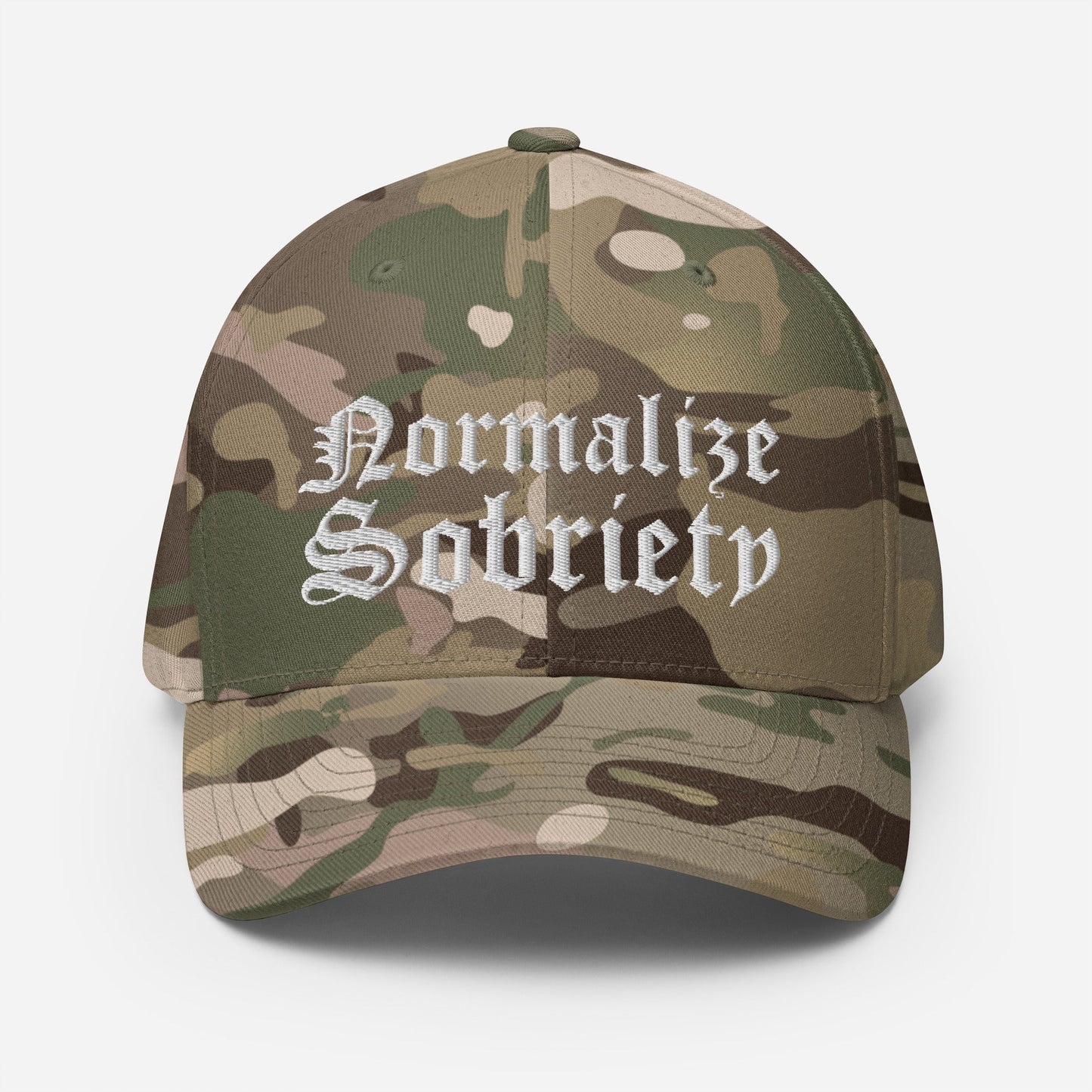 Normalize Sobriety Fitted Cap - Soberlands