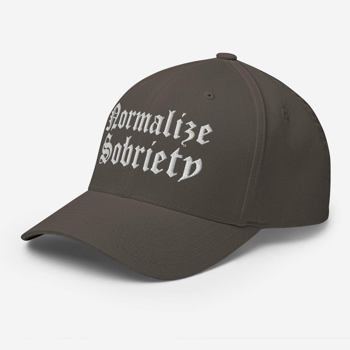 Normalize Sobriety Fitted Cap - Soberlands