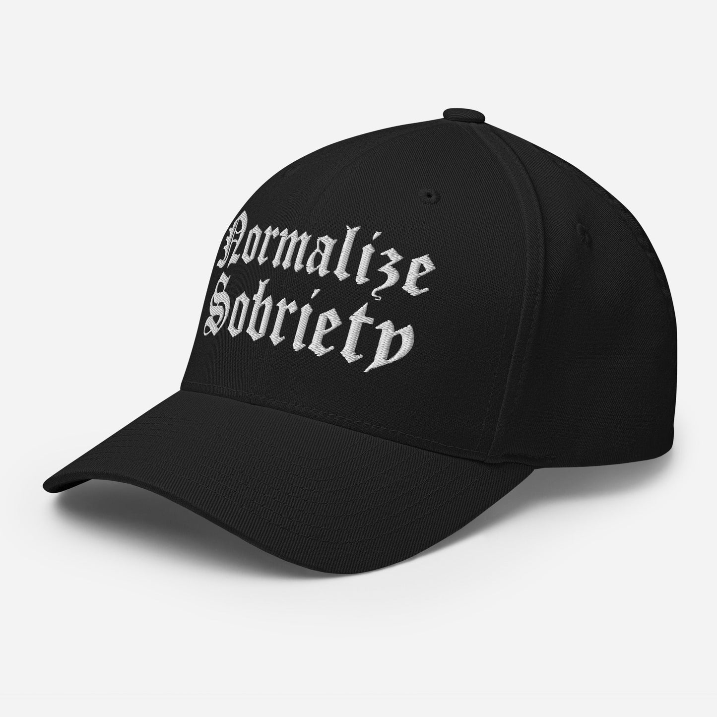 Normalize Sobriety Fitted Cap - Soberlands