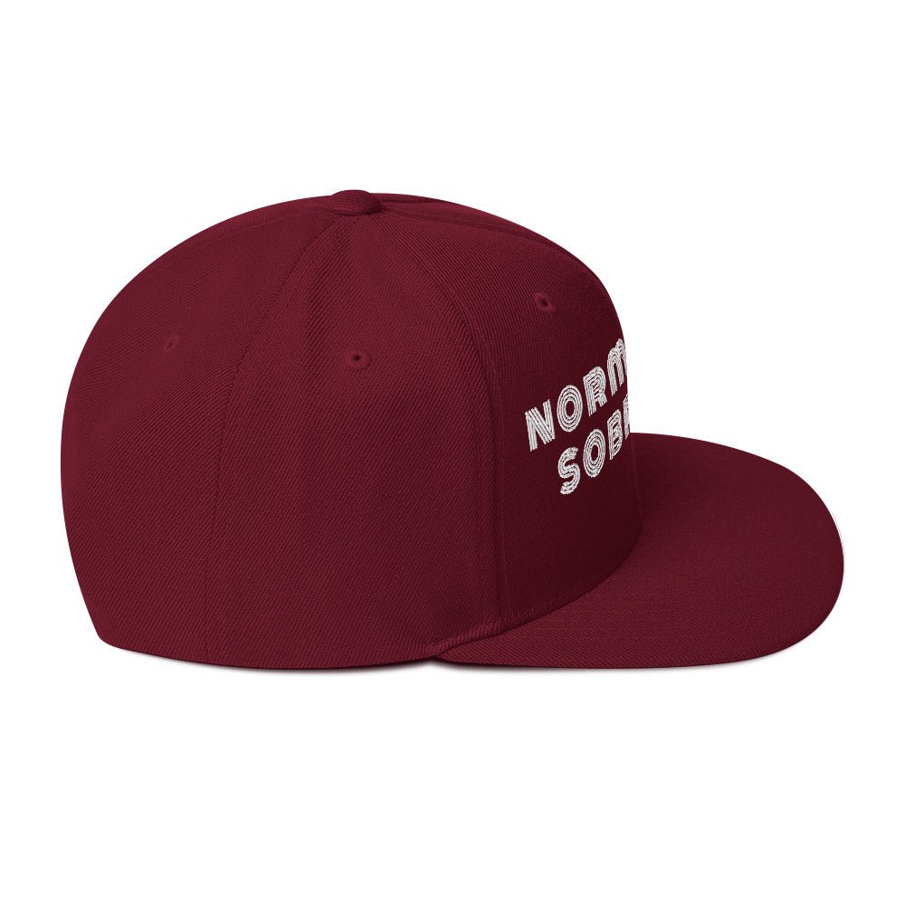 Normalize Sobriety (Stripe) Snapback - Soberlands