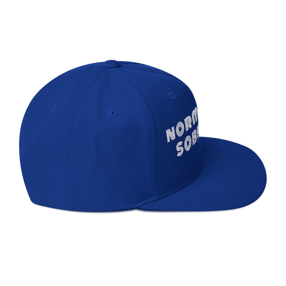Normalize Sobriety (Stripe) Snapback - Soberlands