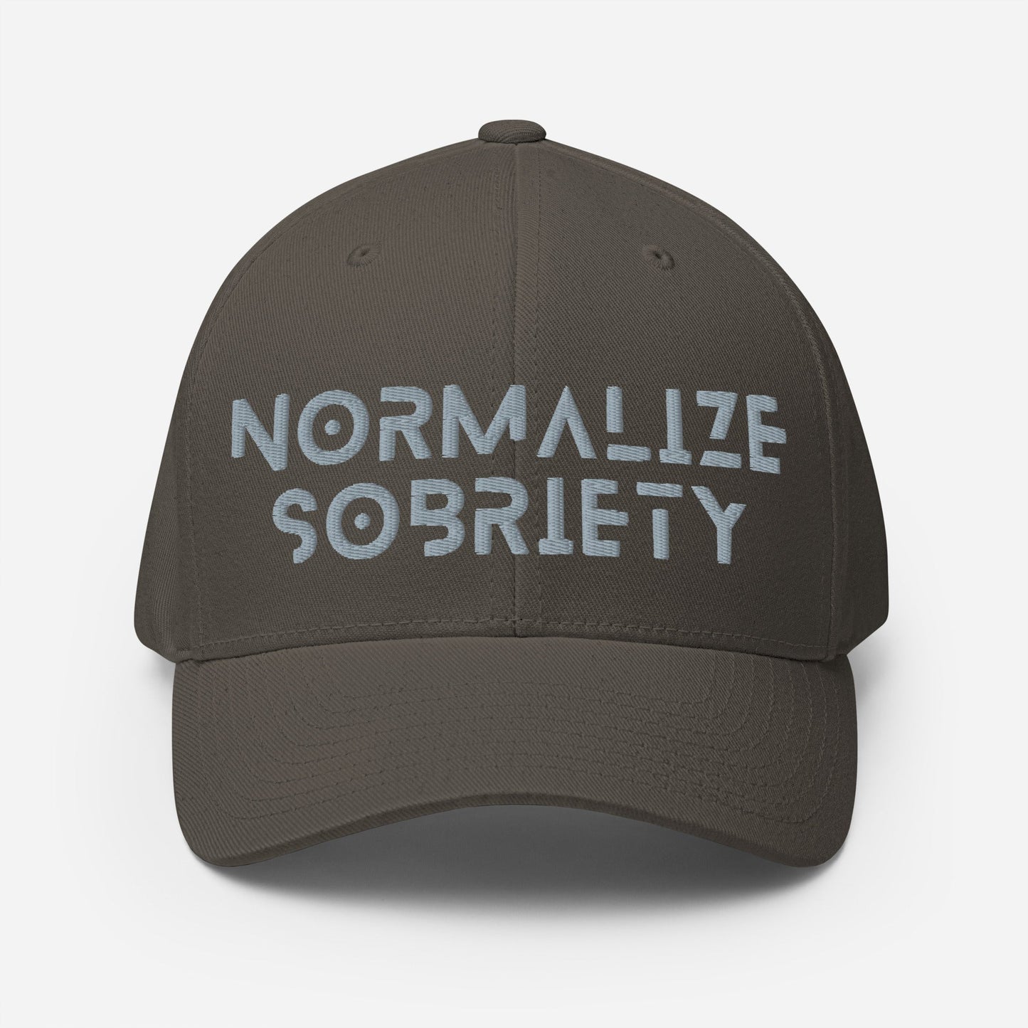 NS Grey Fitted Cap - Soberlands