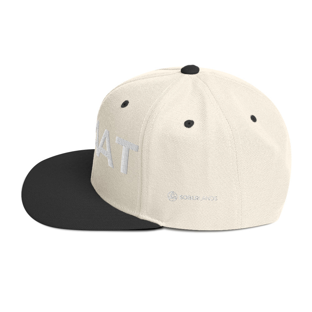 One Day At A Time Snapback - Soberlands