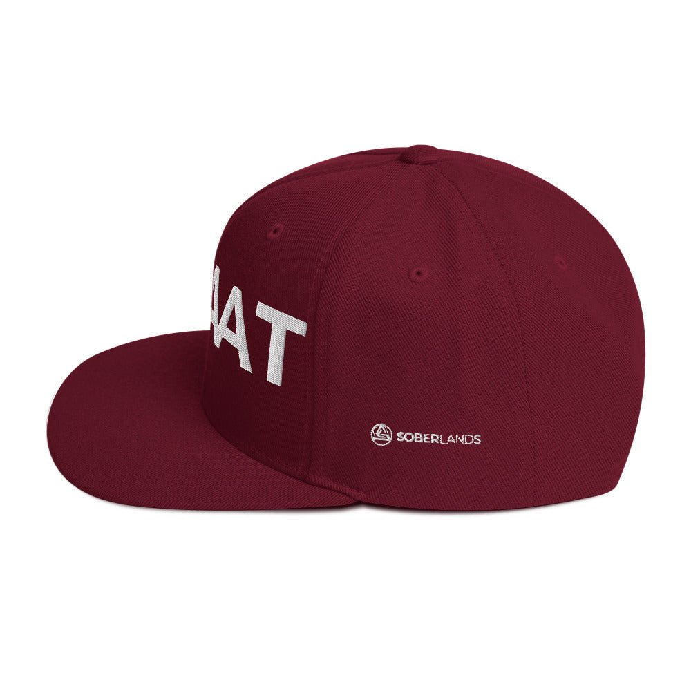One Day At A Time Snapback - Soberlands