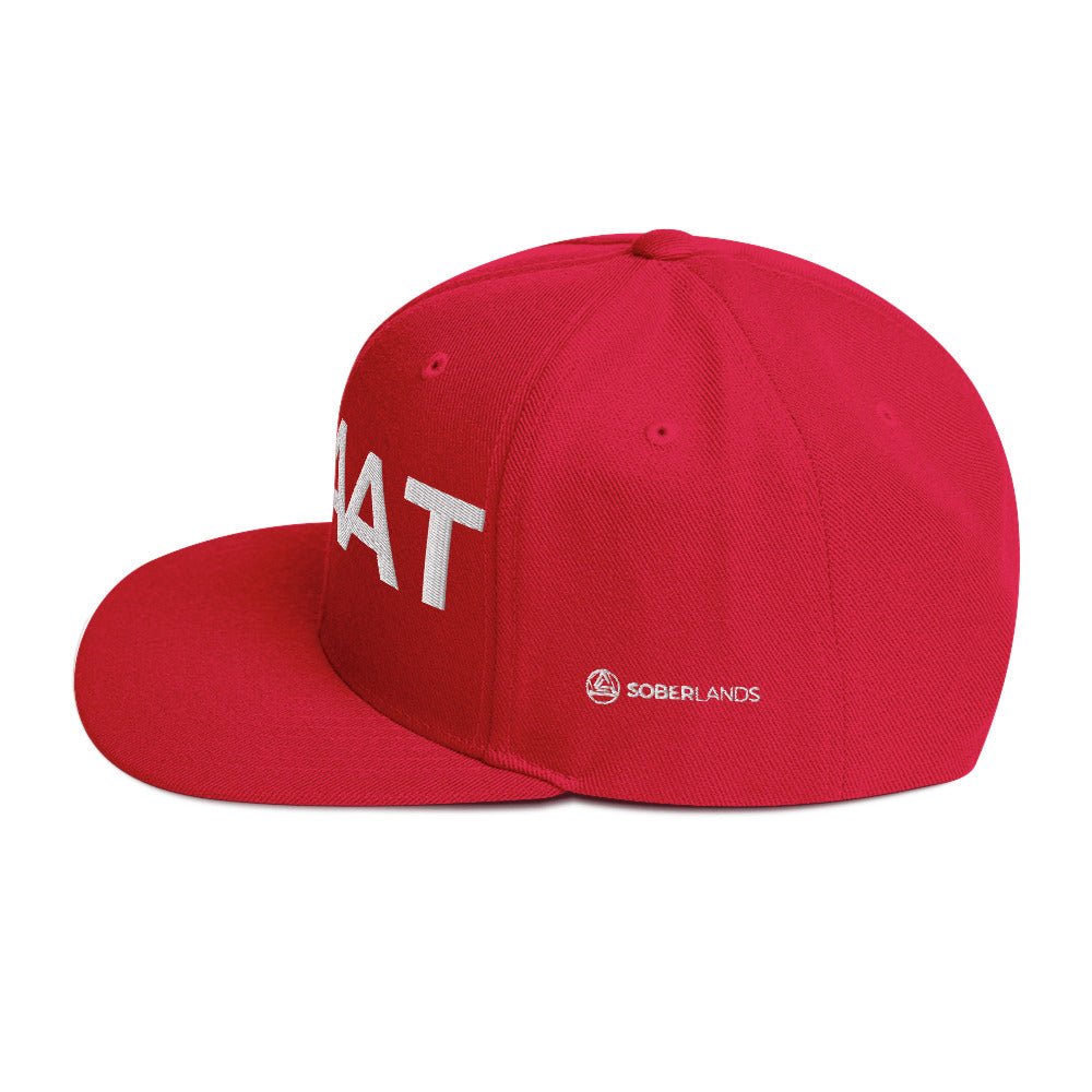 One Day At A Time Snapback - Soberlands