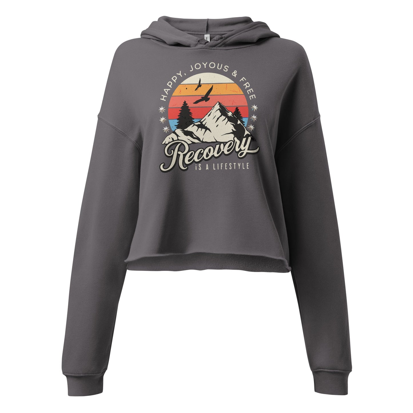 Recovery Crop Hoodie - Soberlands