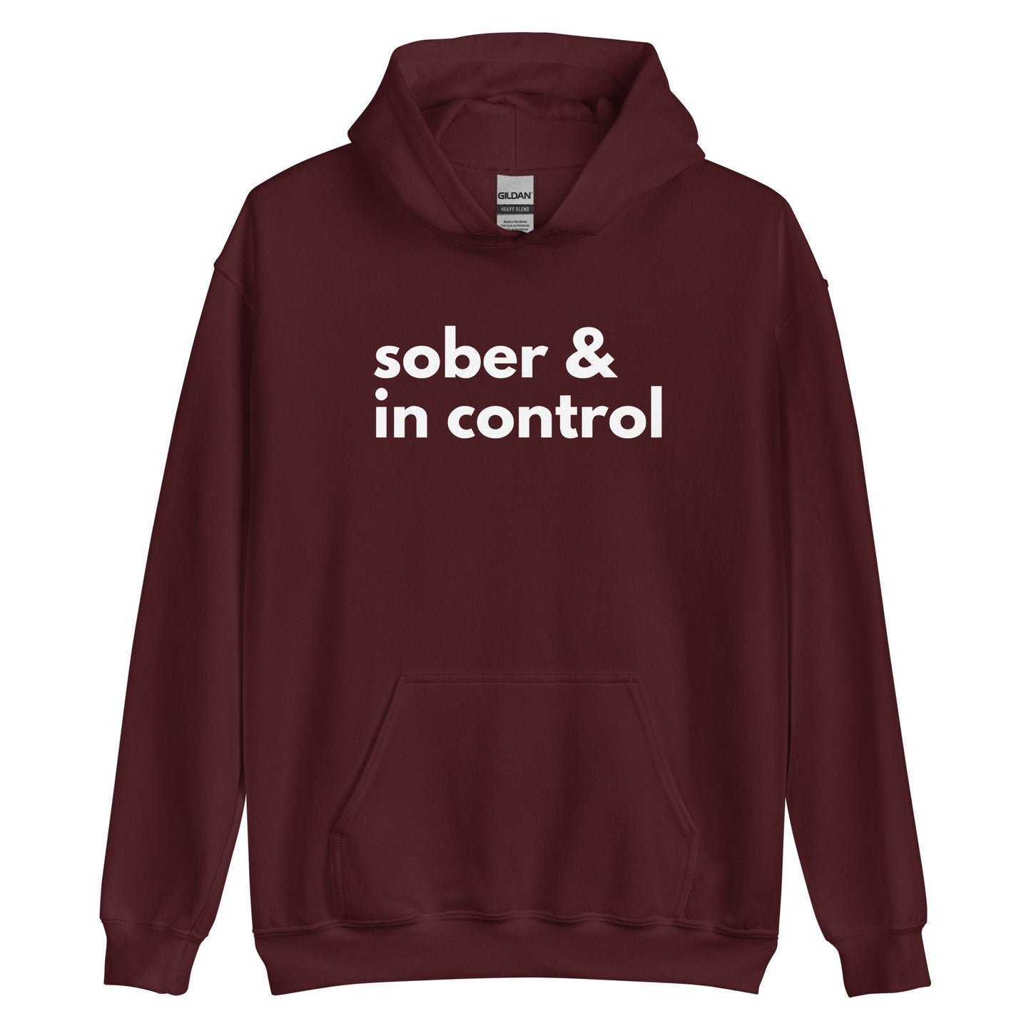 Sober & In Control Hoodie - Soberlands