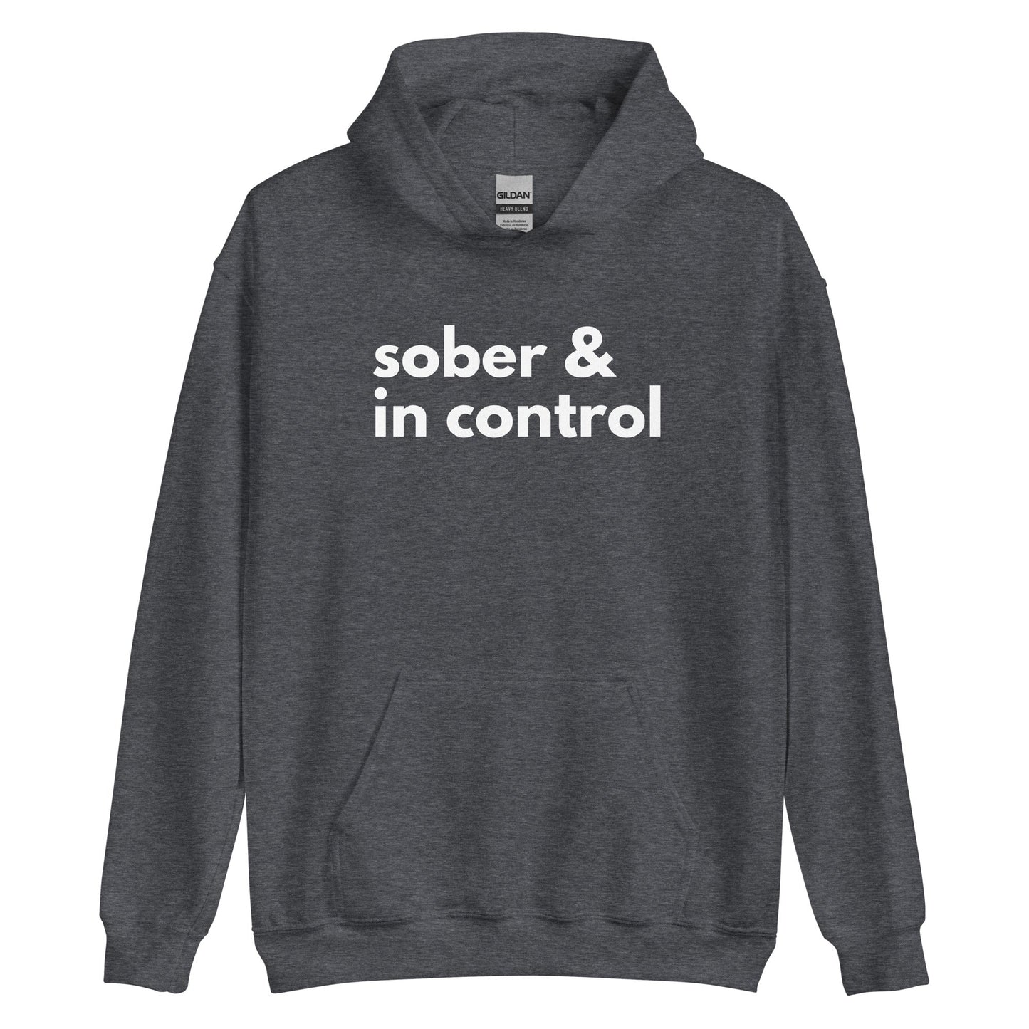 Sober & In Control Hoodie - Soberlands