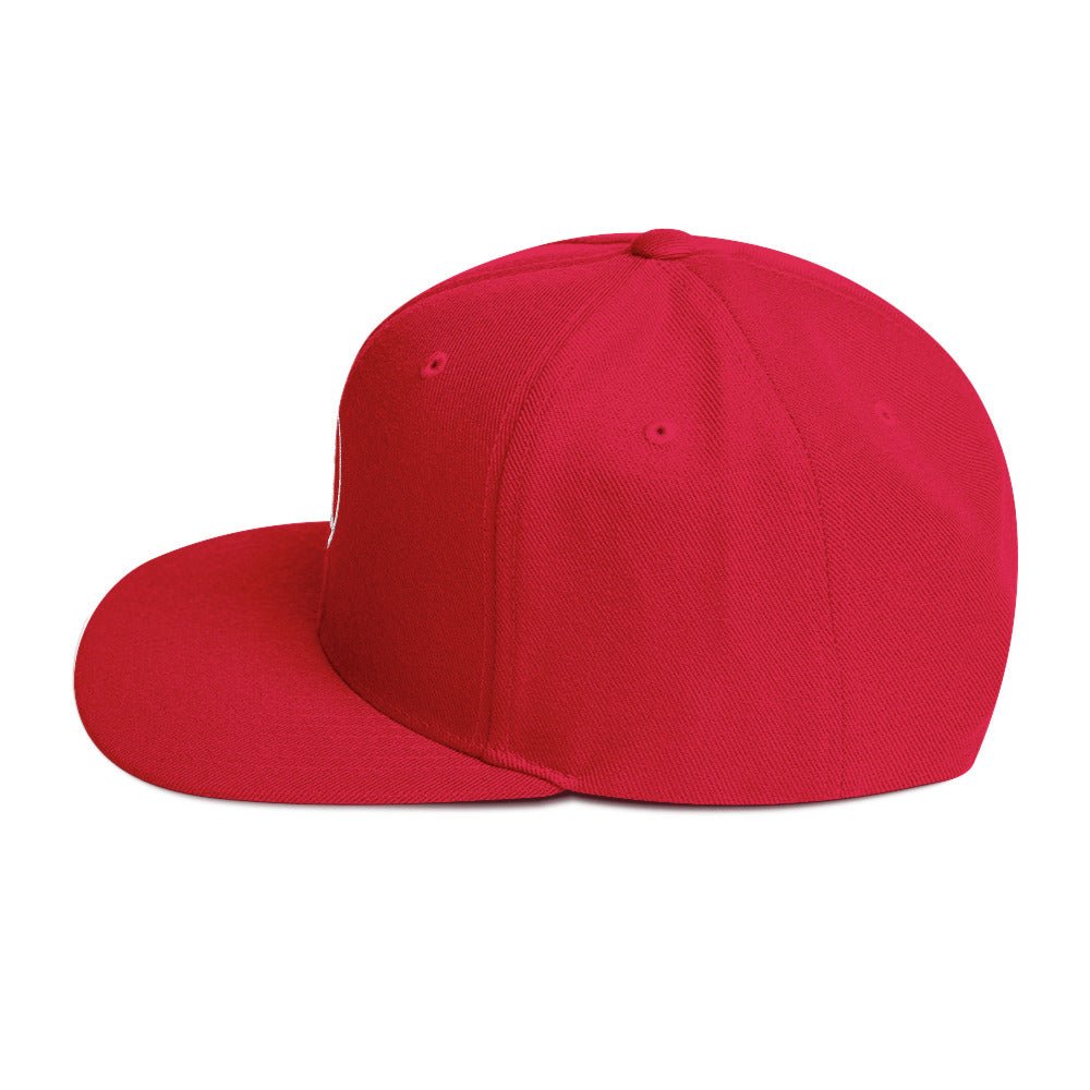 Sober Lands Snapback - Soberlands