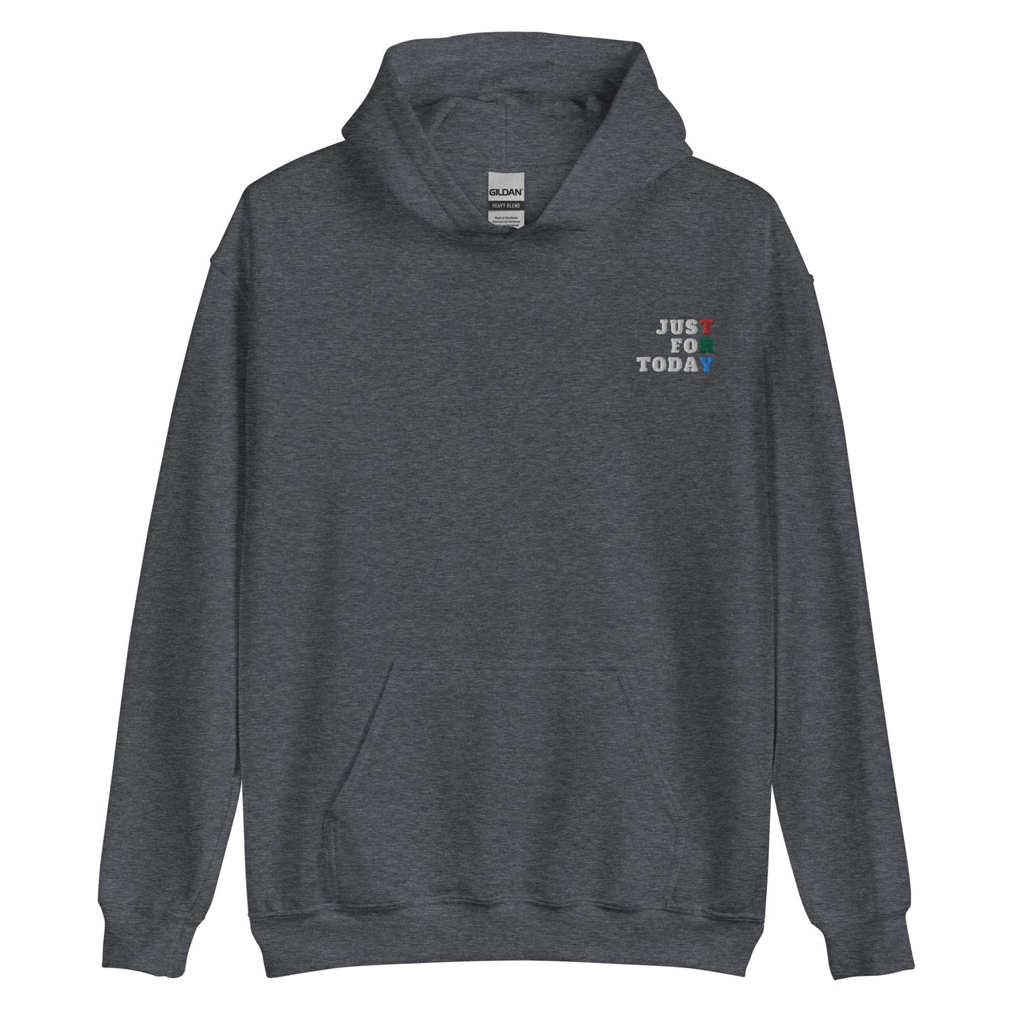 TRY Embroidered Hoodie - Soberlands
