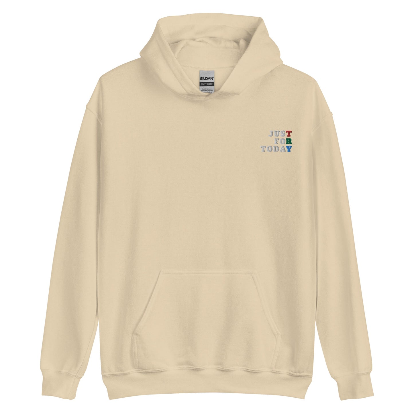 TRY Embroidered Hoodie - Soberlands