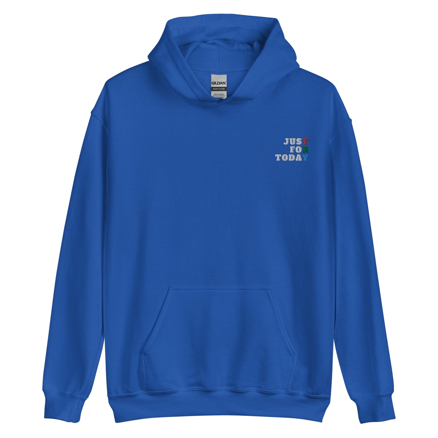 TRY Embroidered Hoodie - Soberlands