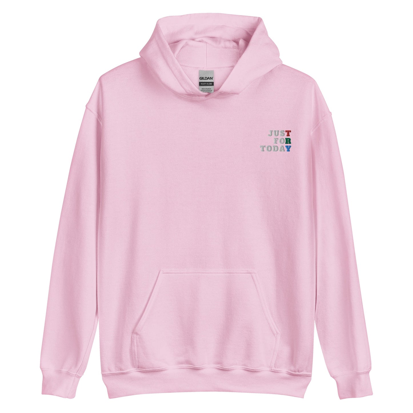 TRY Embroidered Hoodie - Soberlands