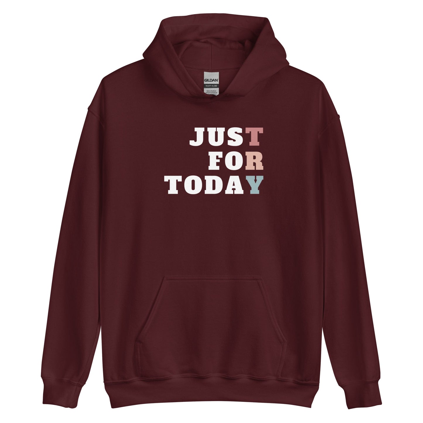 TRY Hoodie - Soberlands