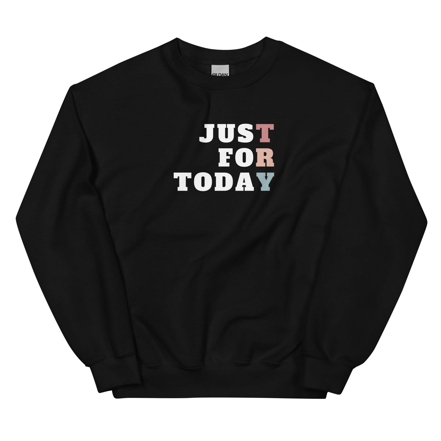 TRY Sweatshirt - Soberlands