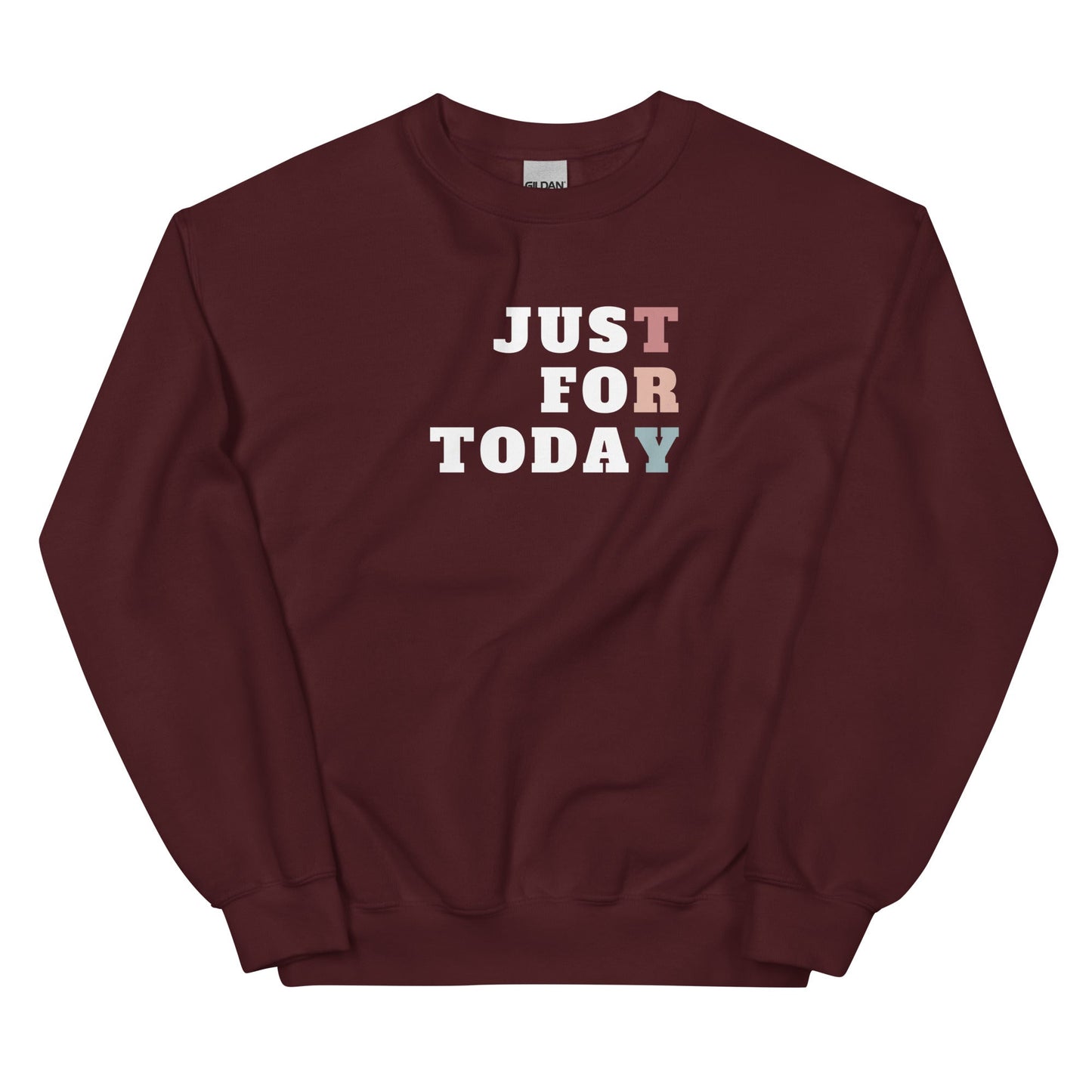 TRY Sweatshirt - Soberlands