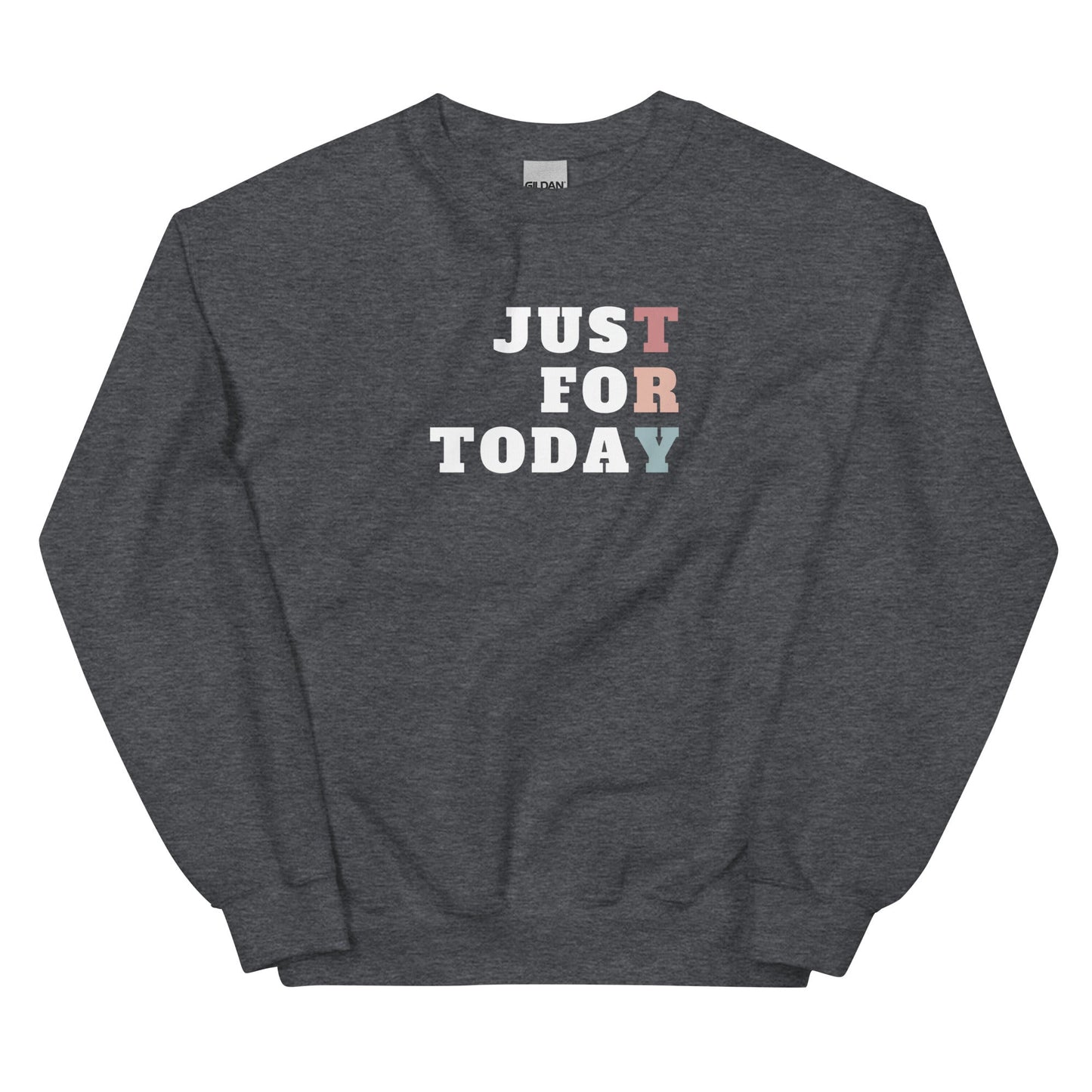 TRY Sweatshirt - Soberlands