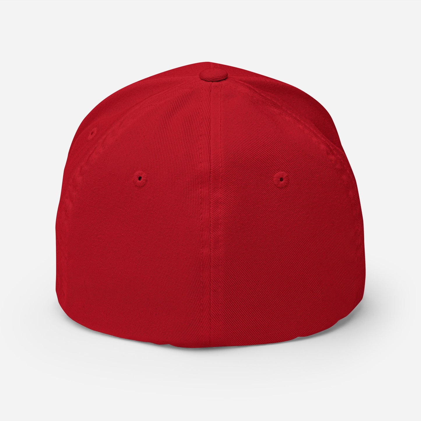 AF Fitted Hat - Soberlands