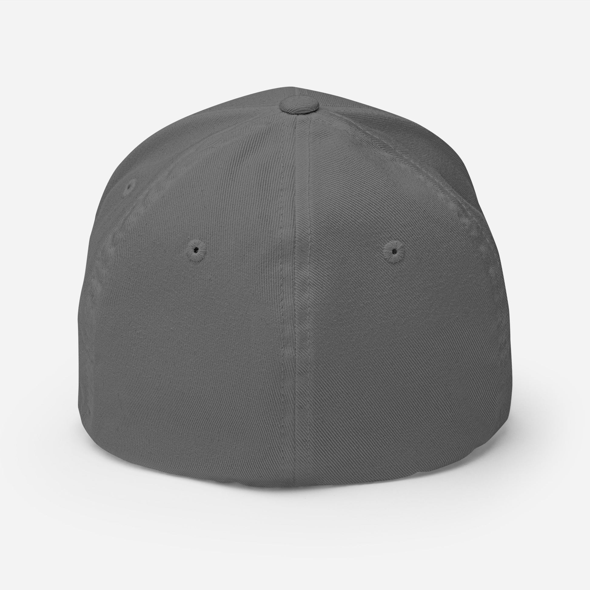 AF Fitted Hat - Soberlands