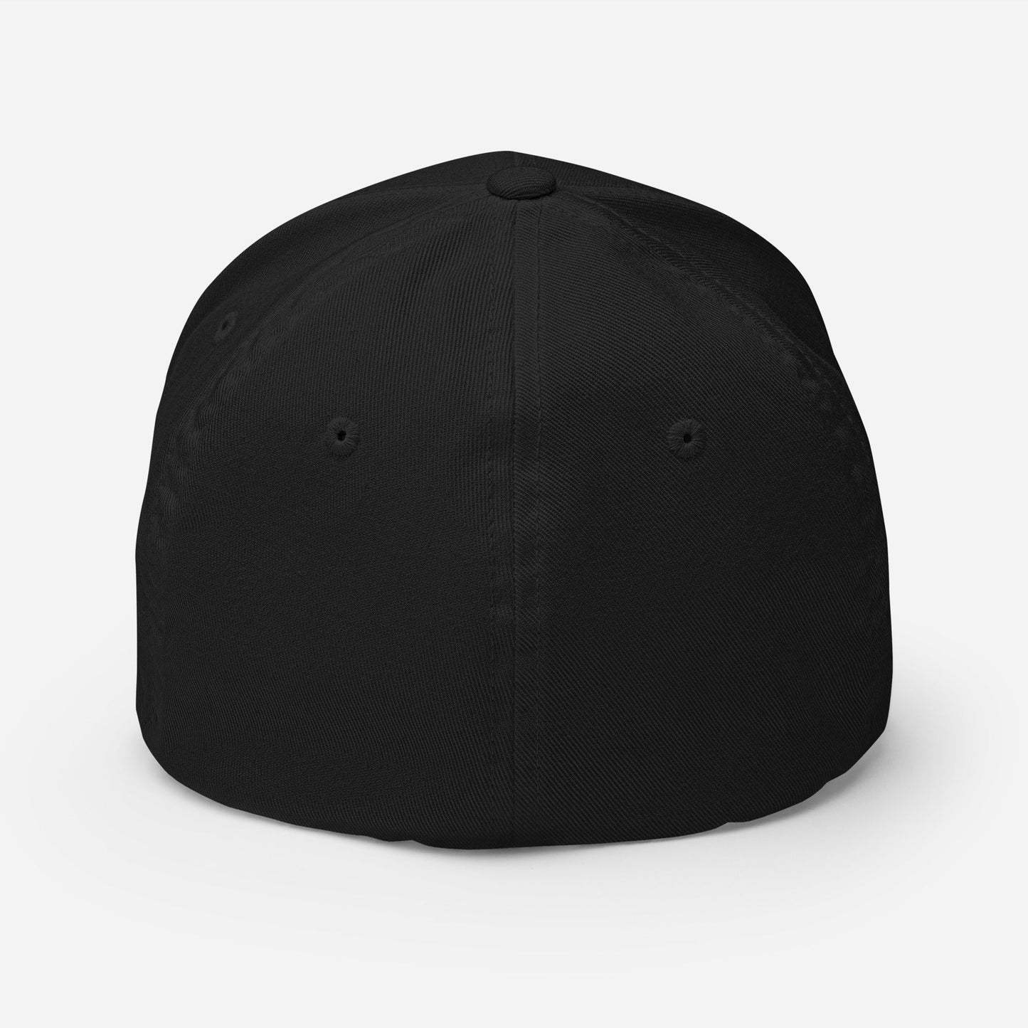 AF Fitted Hat - Soberlands