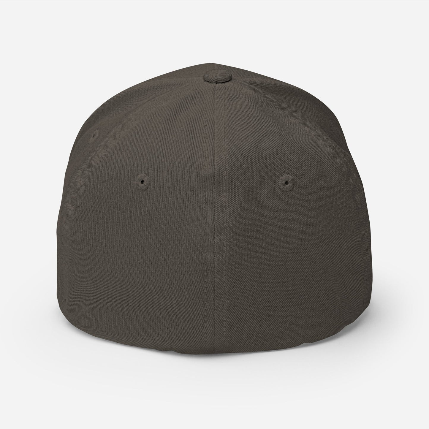 AF Fitted Hat - Soberlands