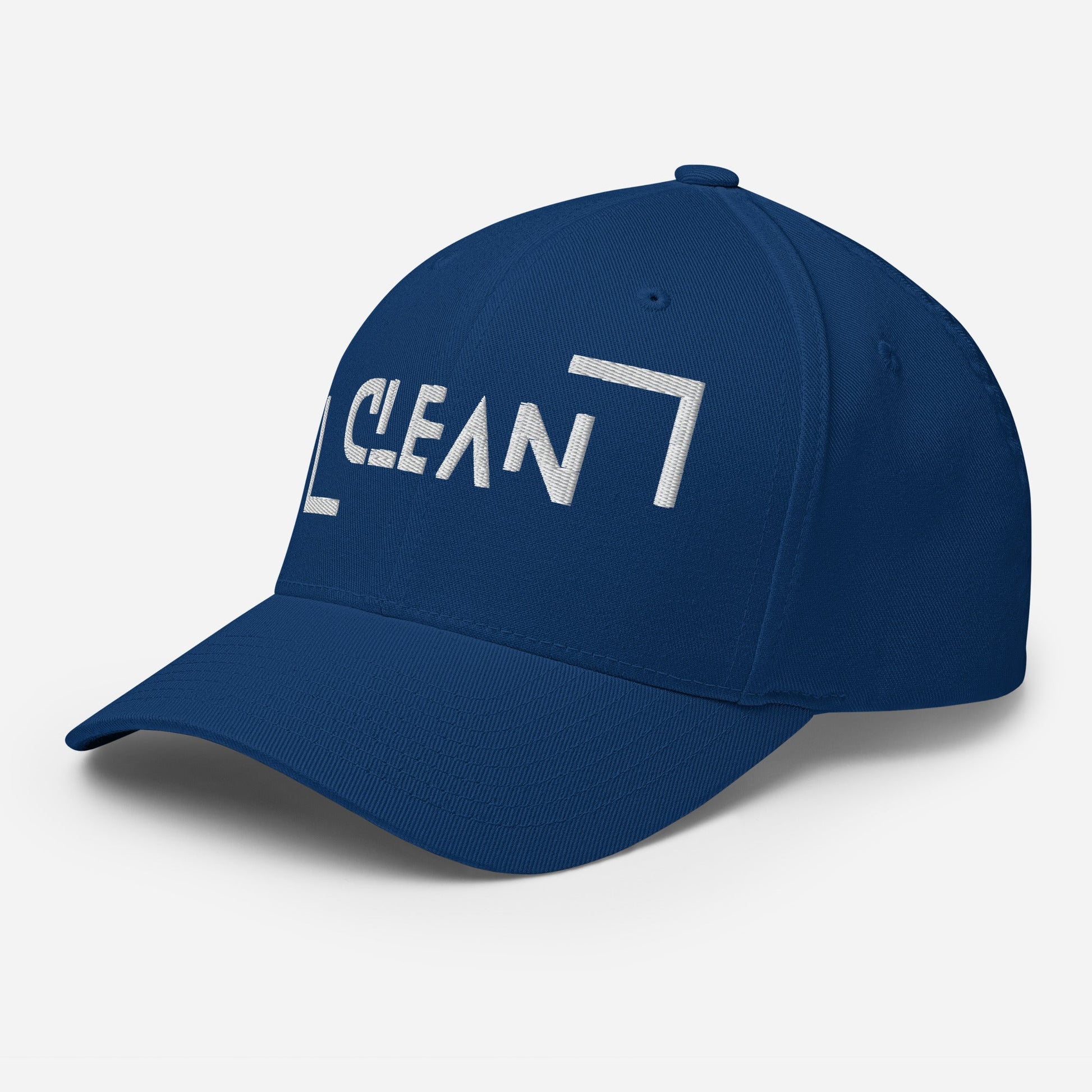Clean Fitted Cap - Soberlands
