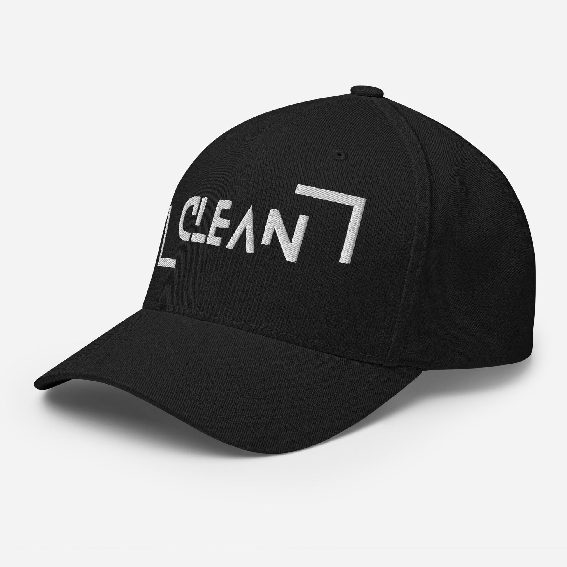 Clean Fitted Cap - Soberlands