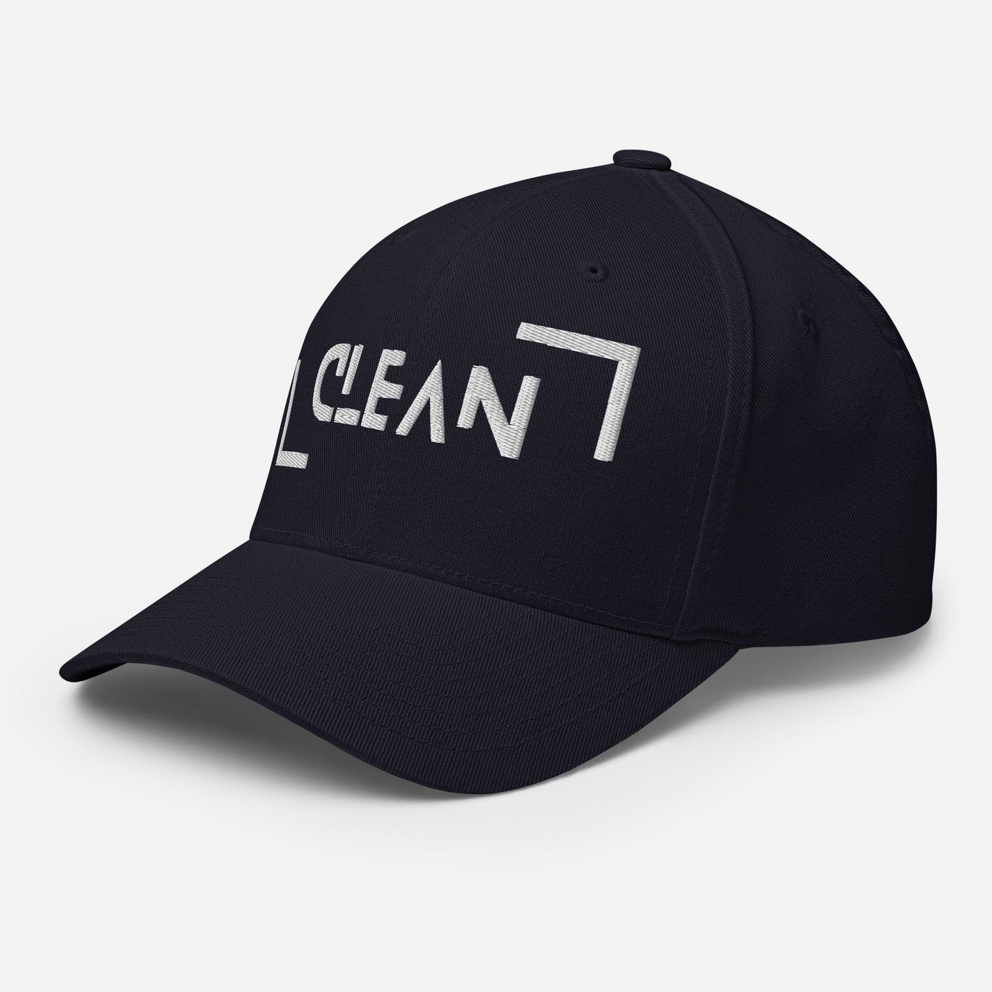 Clean Fitted Cap - Soberlands