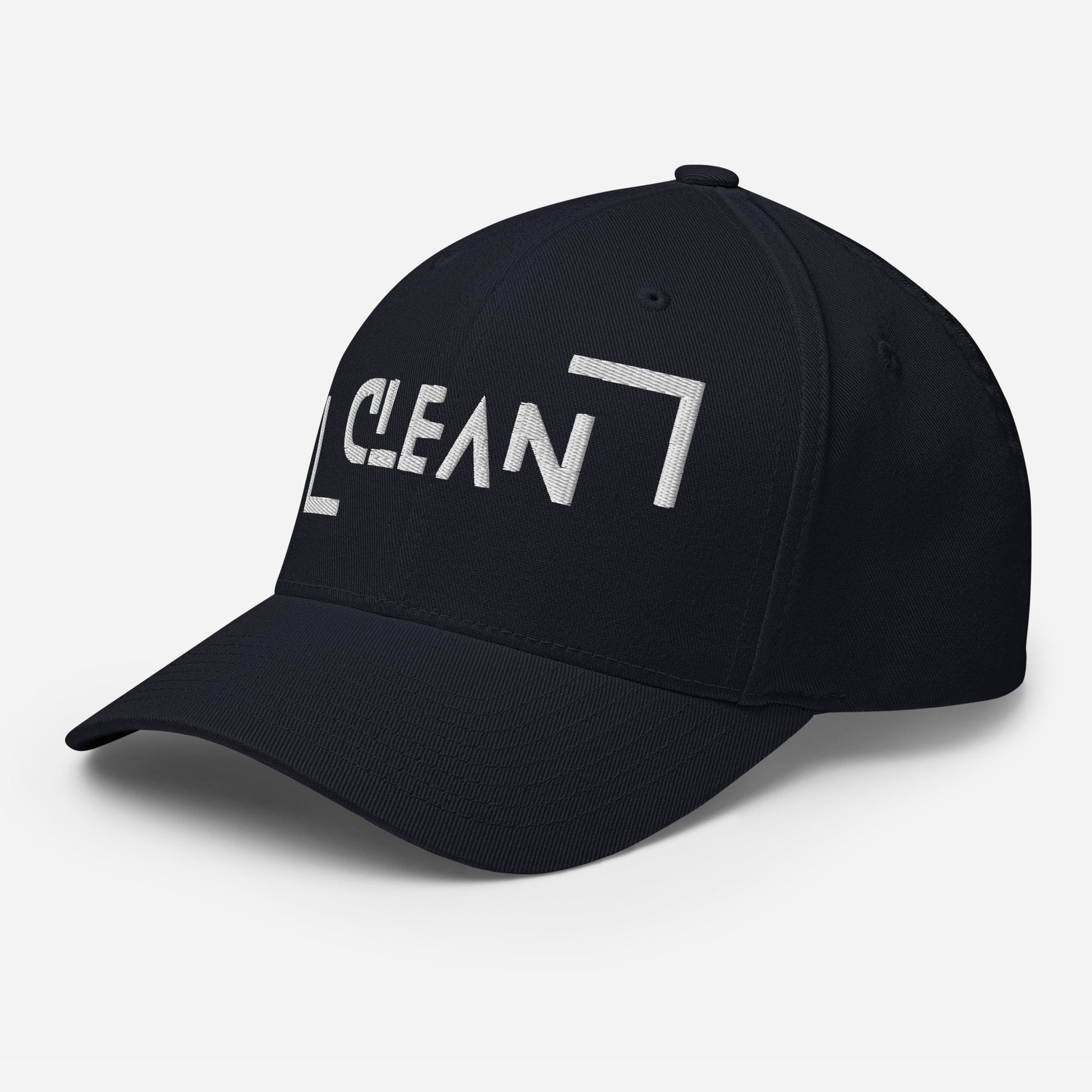 Clean Fitted Cap - Soberlands