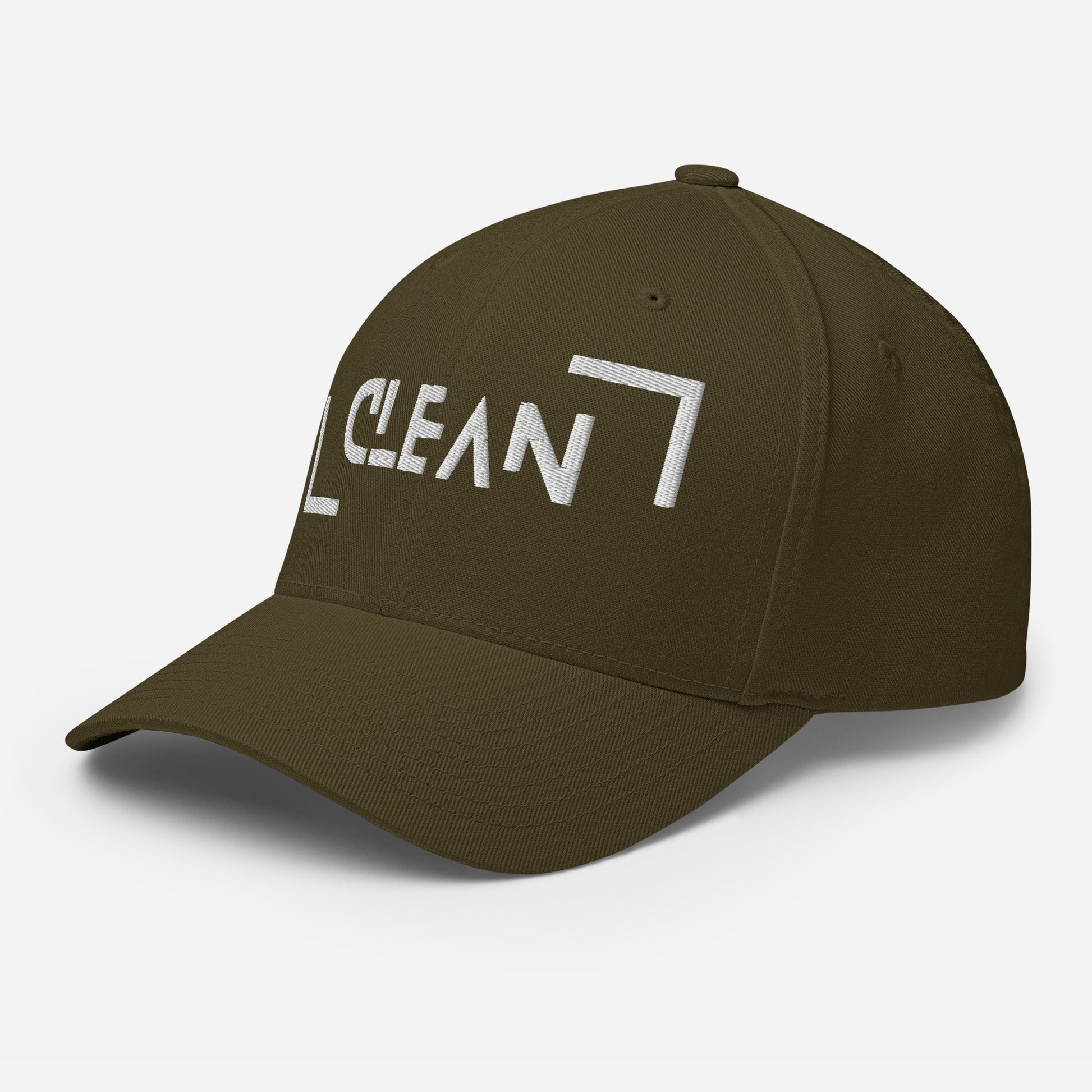 Clean Fitted Cap - Soberlands