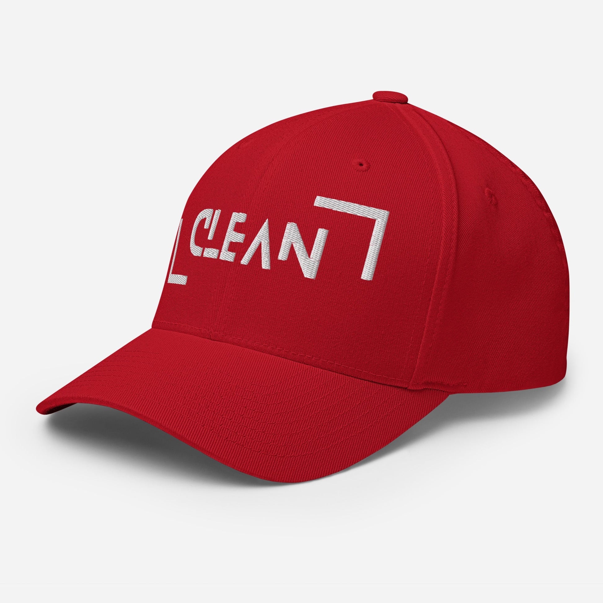 Clean Fitted Cap - Soberlands