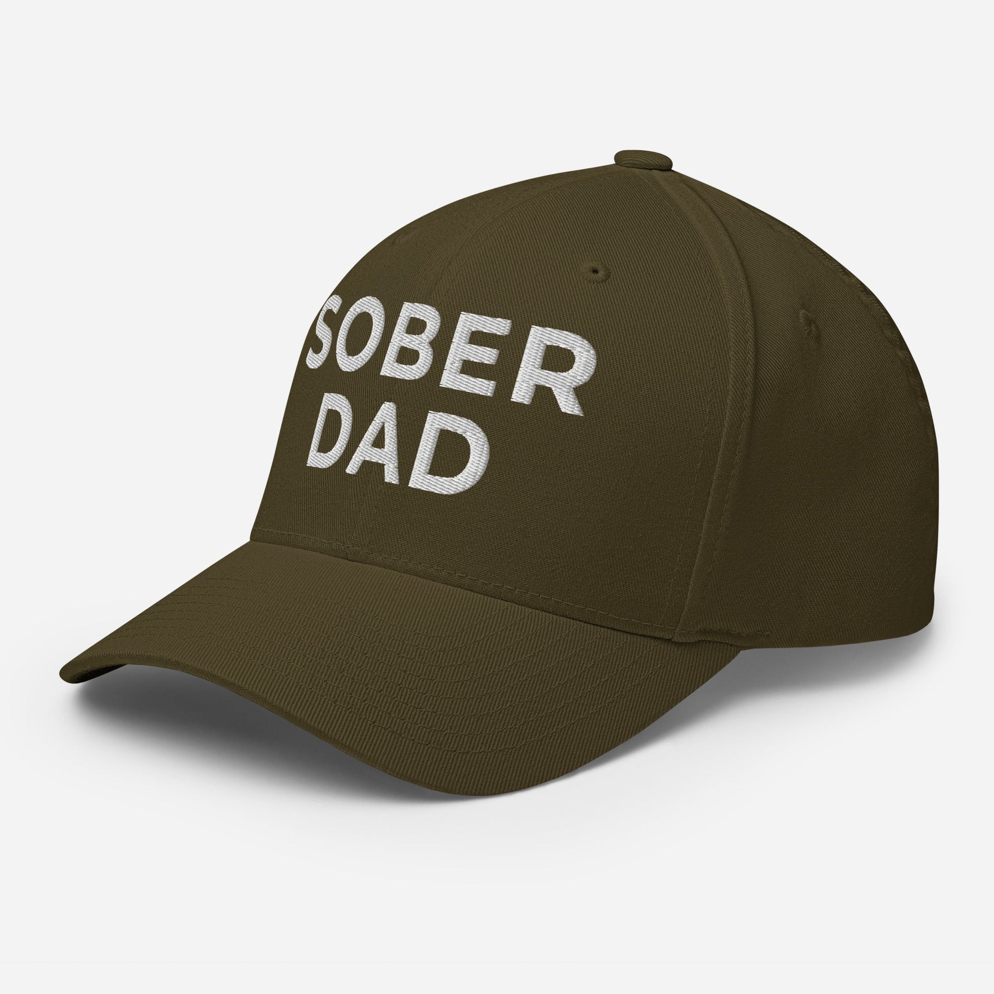 Dad Fitted Cap - Soberlands