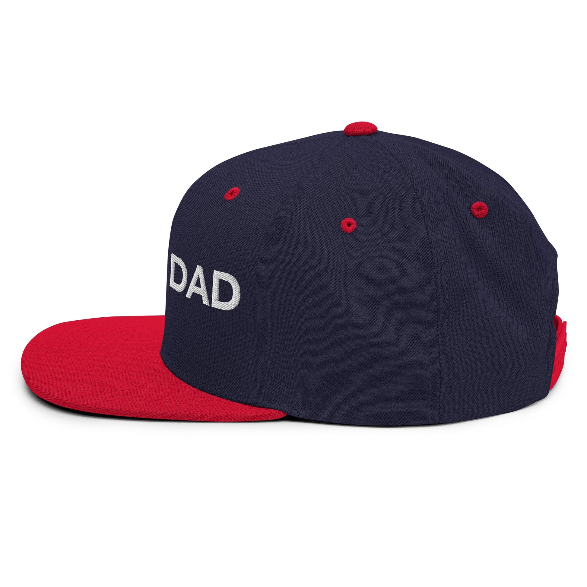 DAD Snapback - Soberlands