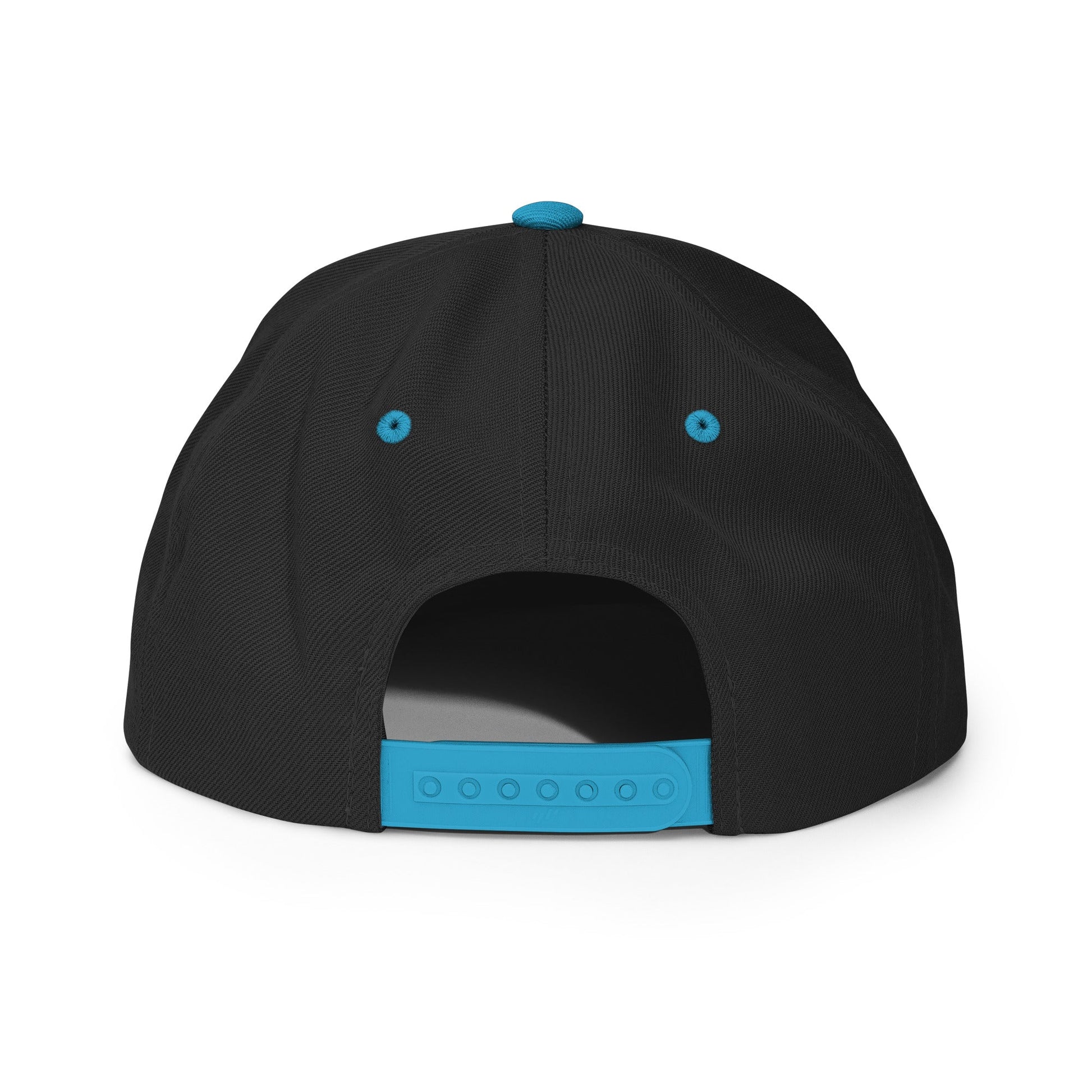 DAD Snapback - Soberlands